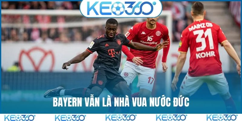 Bayern vẫn là nhà vua nước Đức