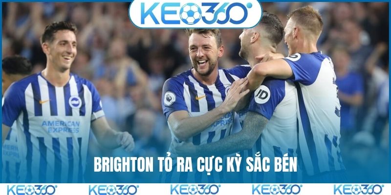 Brighton tỏ ra cực kỳ sắc bén