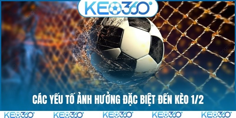 Các yếu tố ảnh hưởng đặc biệt đến kèo 1/2