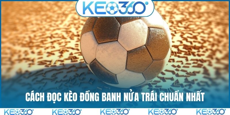 Cách đọc kèo đồng banh nửa trái chuẩn nhất