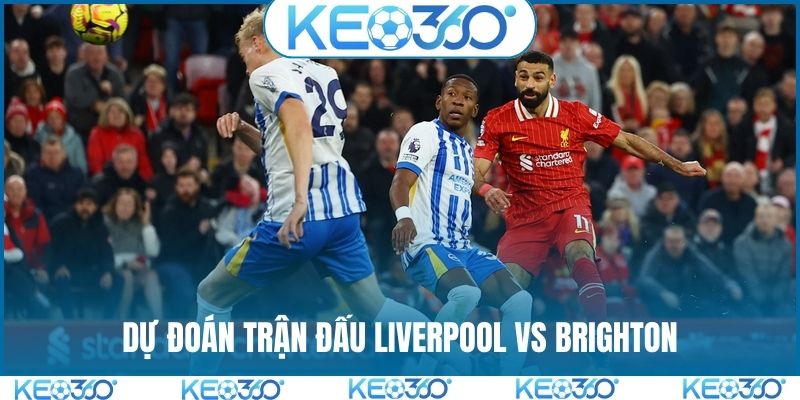 Dự đoán trận đấu Liverpool vs Brighton