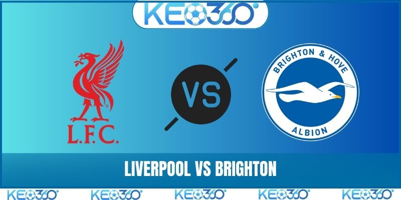 Liverpool vs Brighton
