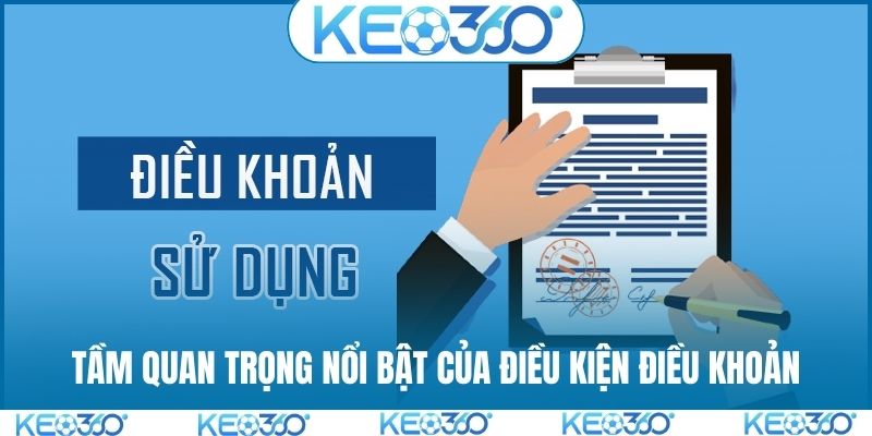 Tầm quan trọng nổi bật của điều kiện điều khoản