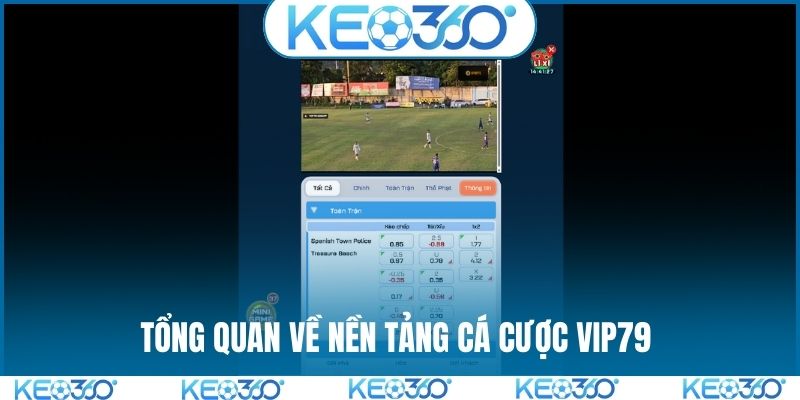 Tổng quan về nền tảng cá cược VIP79