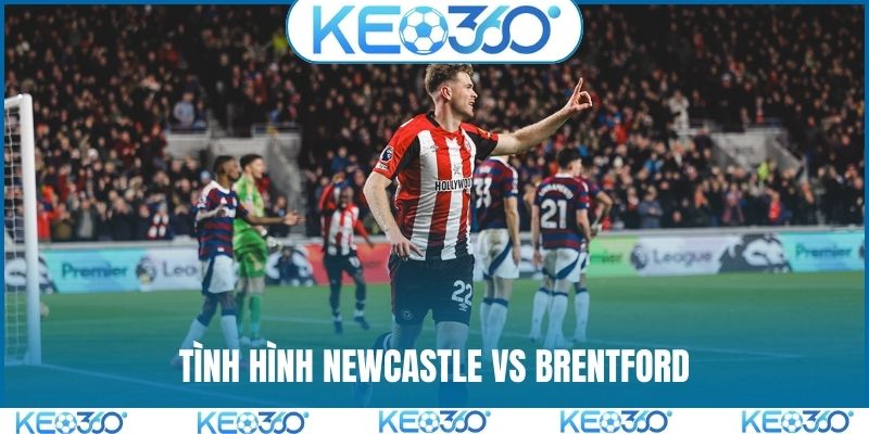 Tình hình trước khi soi kèo Newcastle vs Brentford