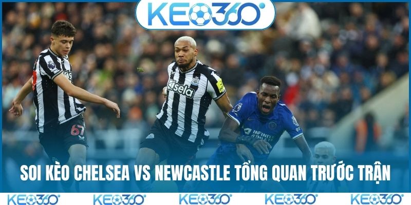 Soi kèo Chelsea vs Newcastle tổng quan trước trận