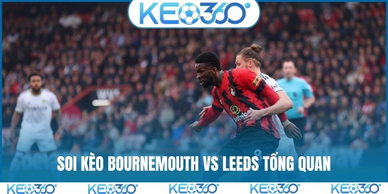 Soi kèo Bournemouth vs Leeds tổng quan