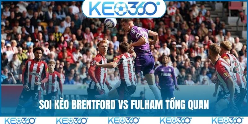 Soi kèo Brentford vs Fulham tổng quan