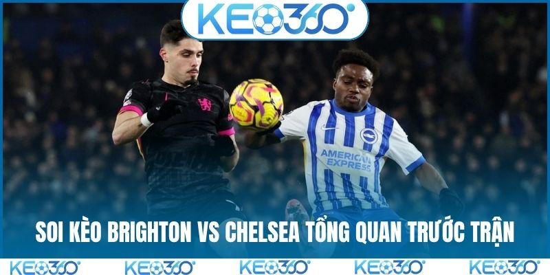 Soi kèo Brighton vs Chelsea tổng quan trước trận