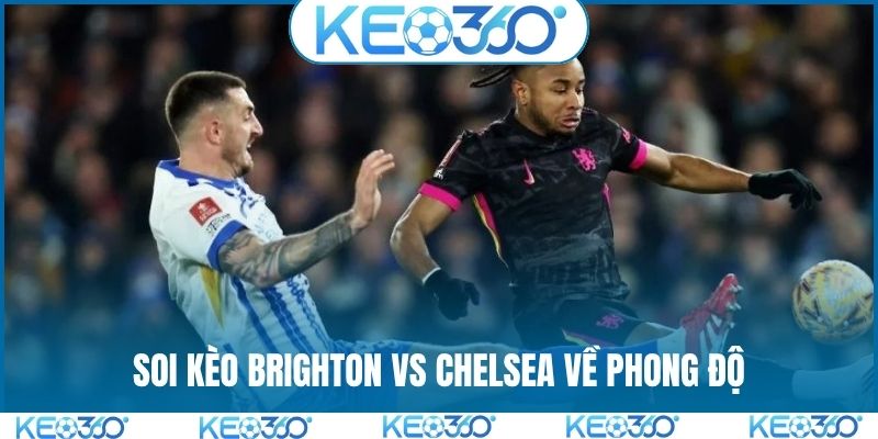 Soi kèo Brighton vs Chelsea về phong độ