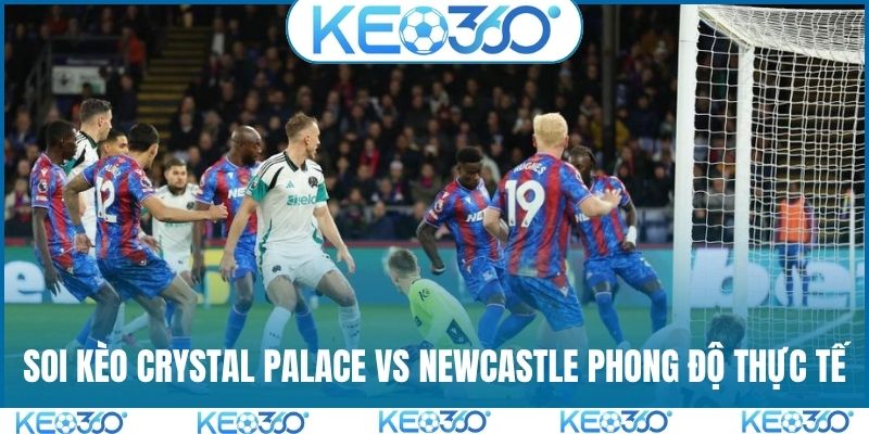Soi kèo Crystal Palace vs Newcastle dựa trên phong độ thực tế