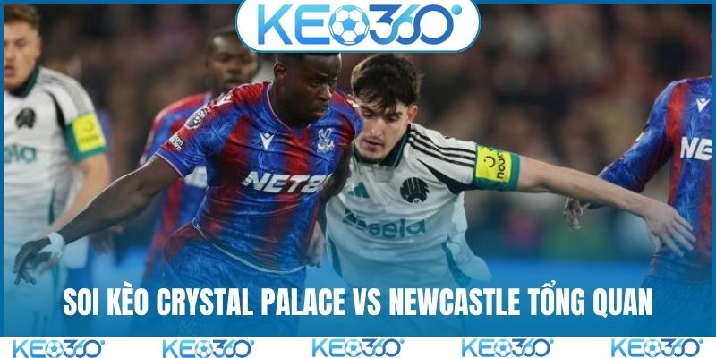 Soi kèo Crystal Palace vs Newcastle tổng quan trước trận