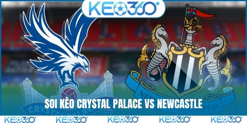 Soi kèo Crystal Palace vs Newcastle, 20h, 12/4, EPL vòng 32